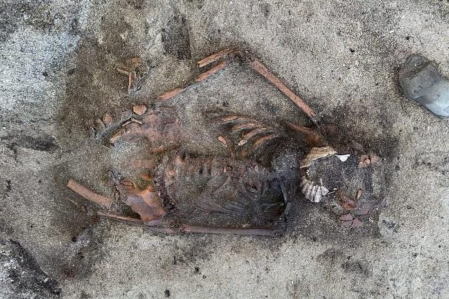 「口元にホタテ貝」前例のないヴァイキング女性の埋葬を発見