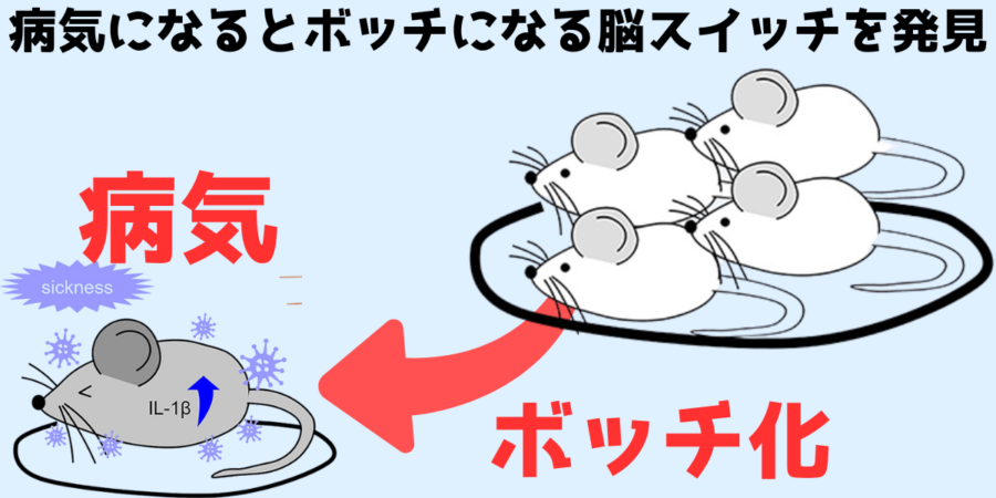 病気でだるいから「仲間との交流」を避けているのか？