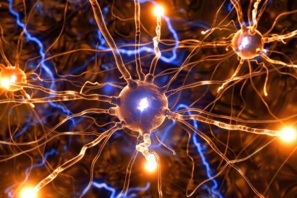 ASDの原因は興奮物質グルタミン酸の受容体が少ないからだった