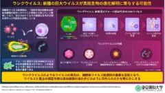 新種の巨大ウイルス「ウシクウイルス」を茨城県から発見の画像 3/3