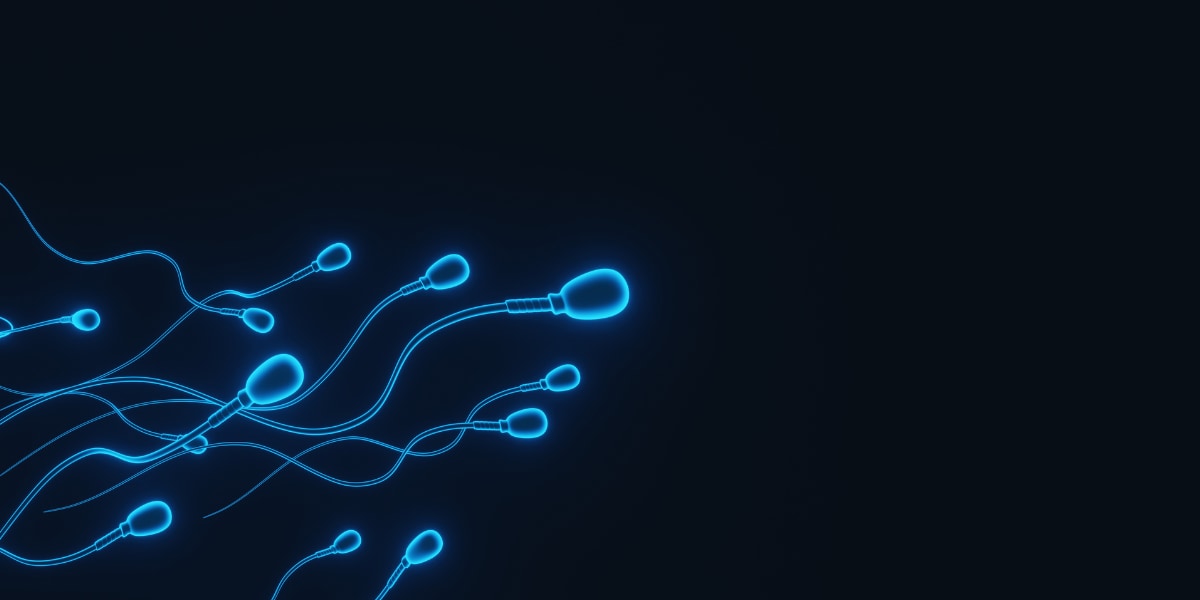 精子の「量で負けて、質で勝つ」逆転劇