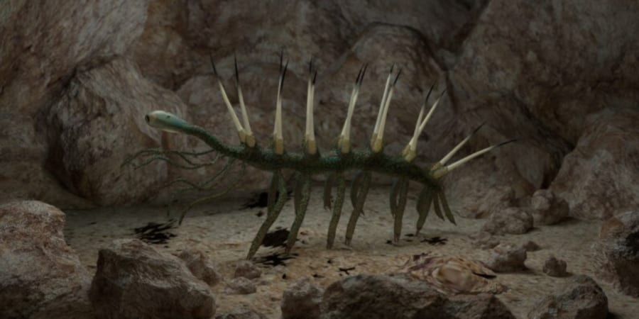 見た目で有名な「ハルキゲニア」の食事方法は謎だった