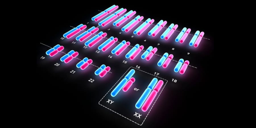「同じ人ならDNAは一つ」という思い込み