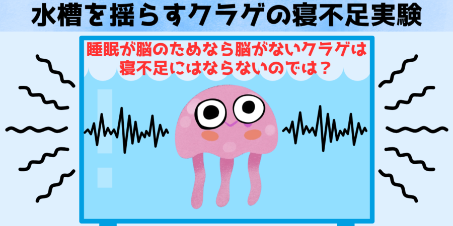 1世代前の大学で、クラゲを寝不足にする実験をしたいと言ったら狂人だと思われたかもしれません