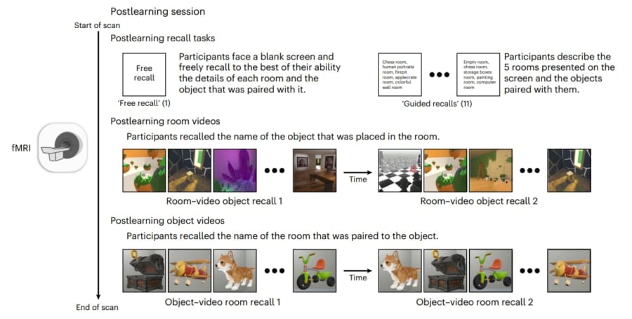 記憶は単に覚えているかだけではなく鮮明さも重要です