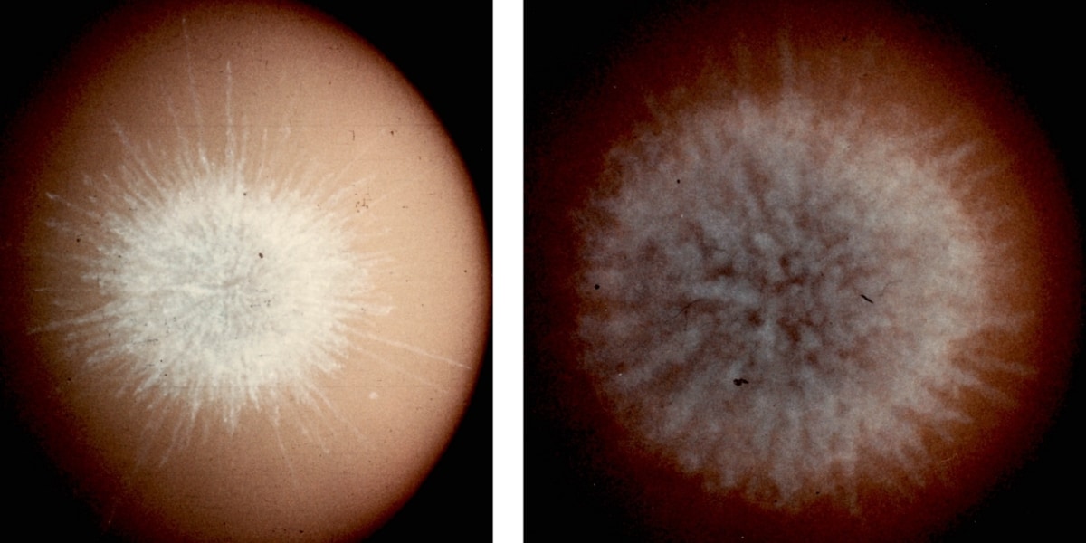 最初の1〜10年で筋が決まり、850年残るというシナリオ