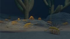 5億年前の怪物「ハルキゲニア」はクラゲをチューチュー吸っていたの画像 3/4