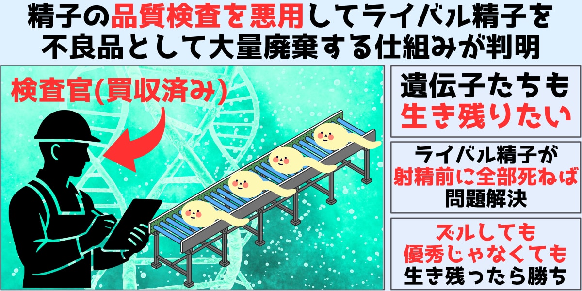 そもそも「精子の品質チェック」って何？