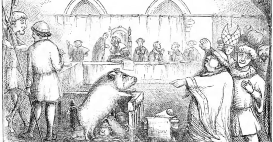 幼児を食べたブタに死刑判決」中世の動物裁判とは？ - ナゾロジー