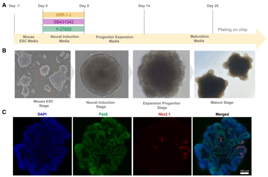 学習を「物理プロセス」として扱える意味