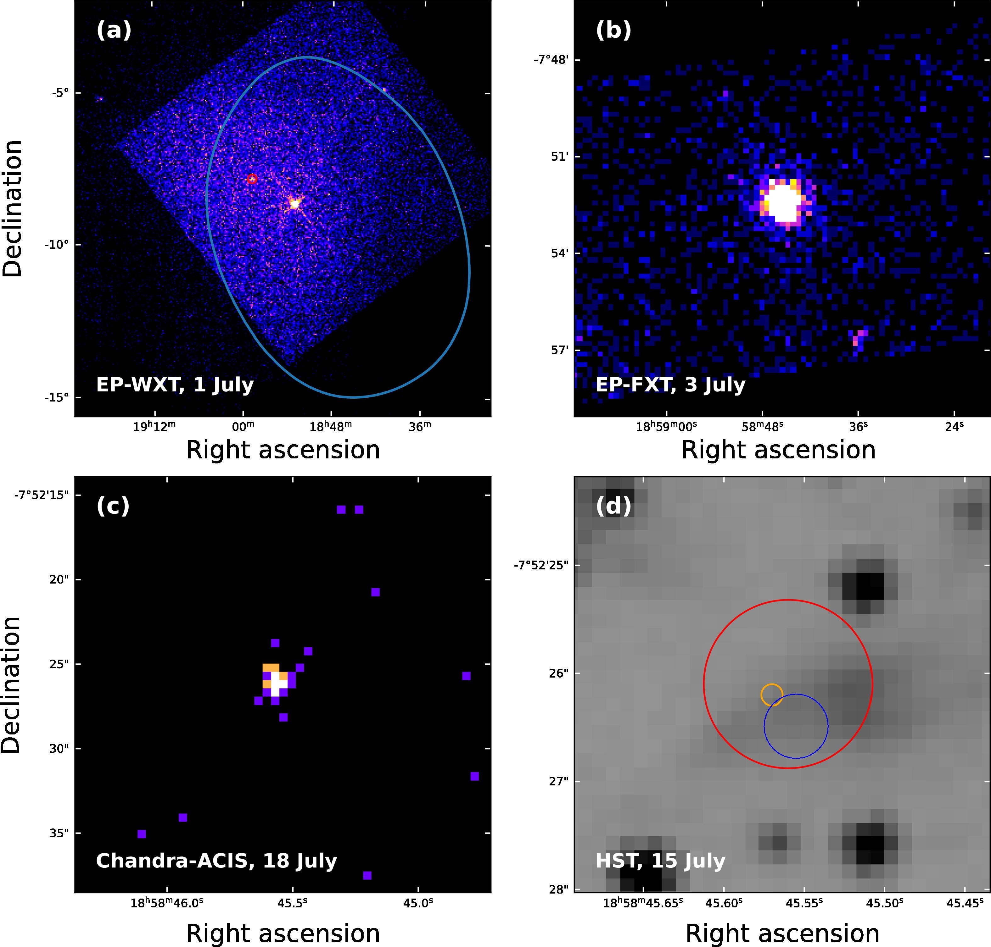 「ブラックホールに引き裂かれた白色矮星」の証拠を初観測かの画像 2/3