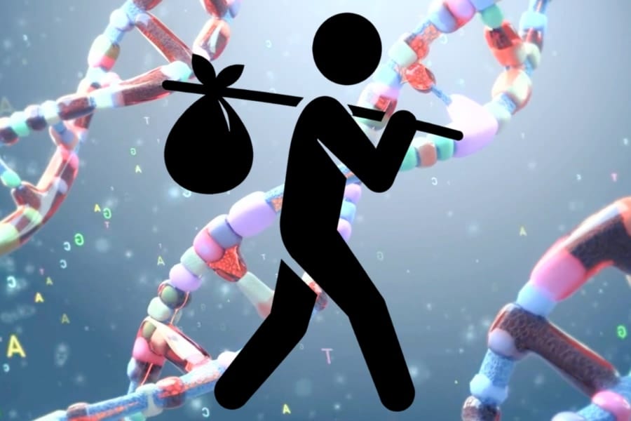 人間のDNAには無数の「旅人遺伝子」が刻まれているようだ