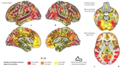 崇高な「政治理念」より単純な「敵・味方」が政治的な考えの背後に潜んでいる