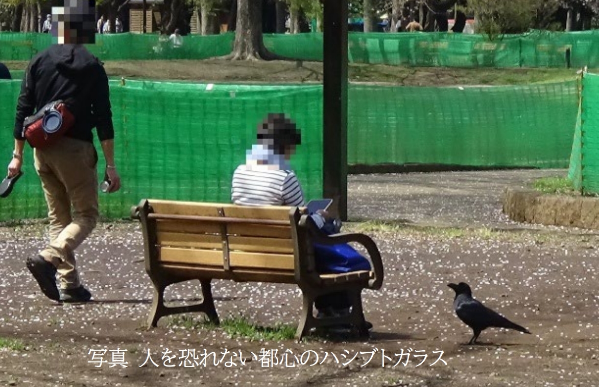 「慣れ」かそれとも「進化」なのか？