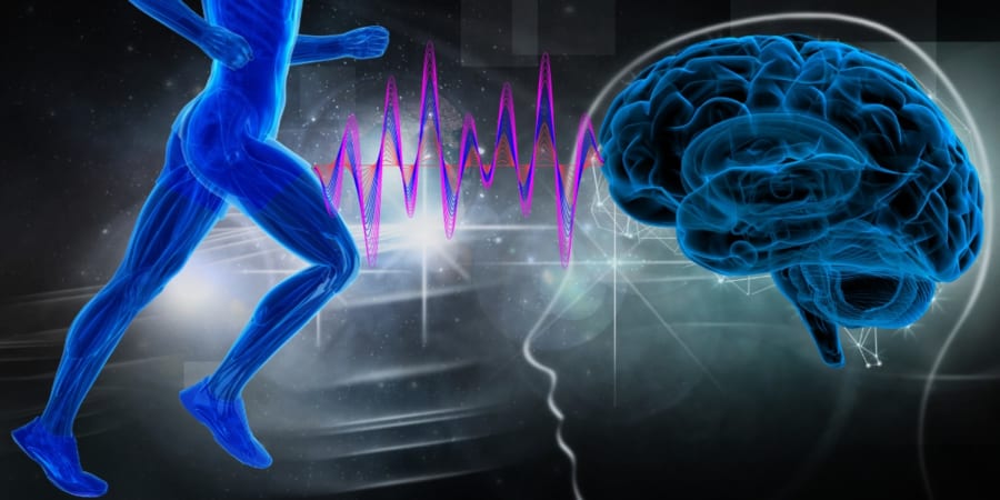 持久力トレーニングは脳トレでもある