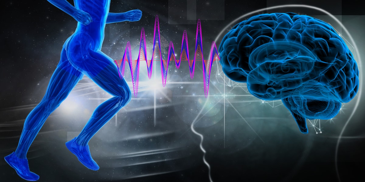 持久力トレーニングは脳トレでもある