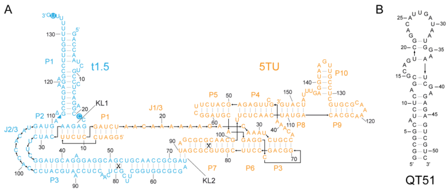 「QT45」の元となった「QT51」