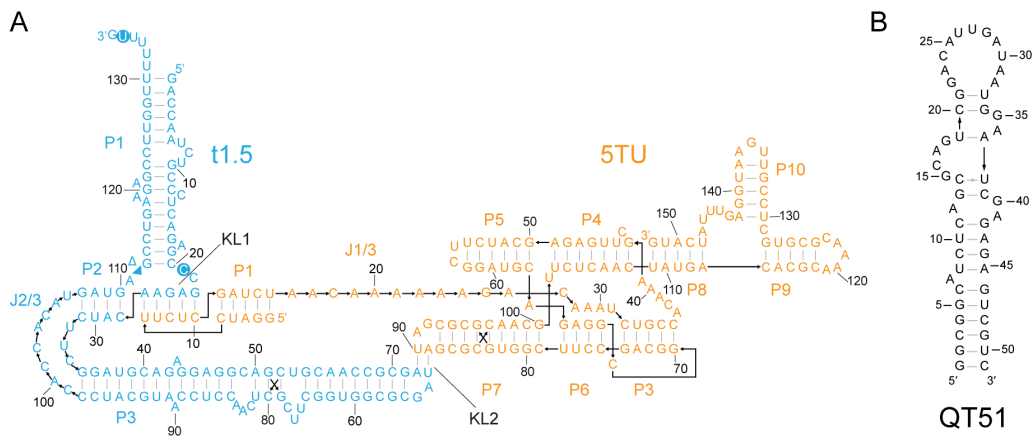 「QT45」の元となった「QT51」