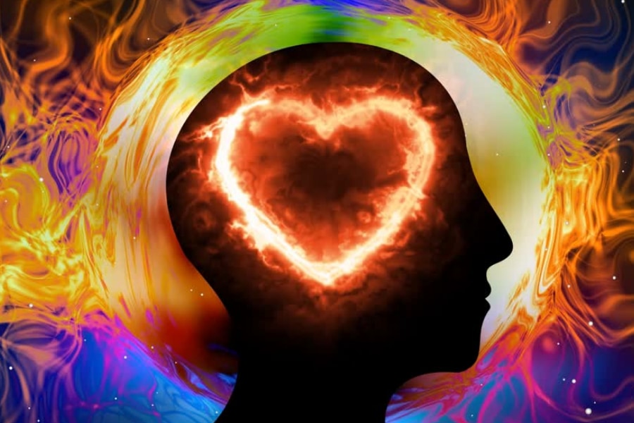 恋人がいる人の血液には「脳を育てる成分」が1.5倍多かった (2/2)