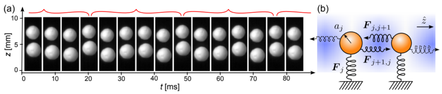 量子の世界から日常サイズへ