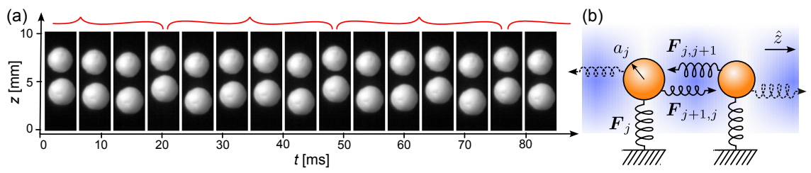 量子の世界から日常サイズへ