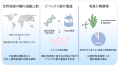日本人の腸内細菌は世界の人とどう違うのか？調査した結果の画像 2/2