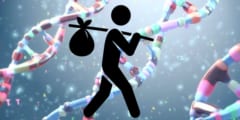 人間のDNAには無数の「旅人遺伝子」が刻まれているようだの画像 1/6