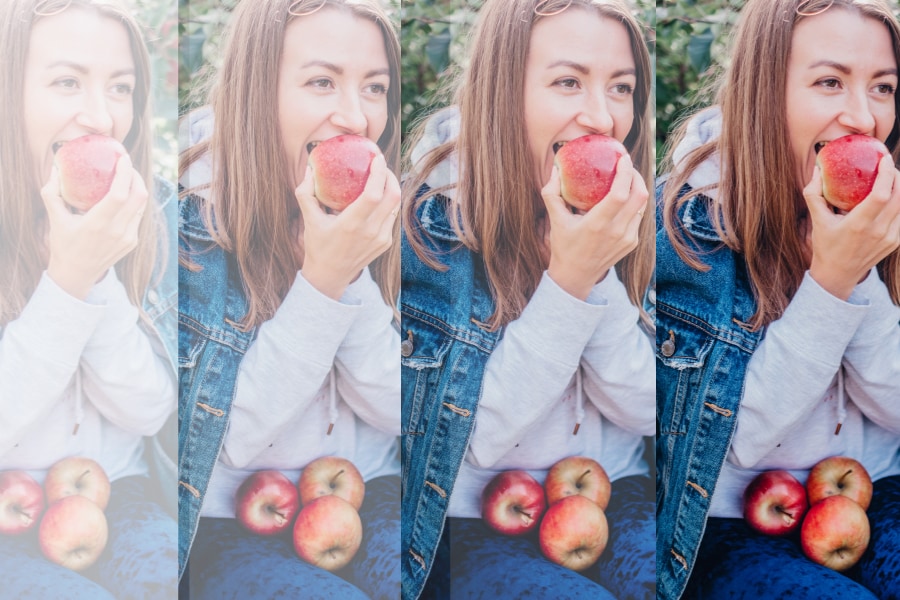 同じ環境で報酬を得ると、脳は「古い記憶」を使わなくなる