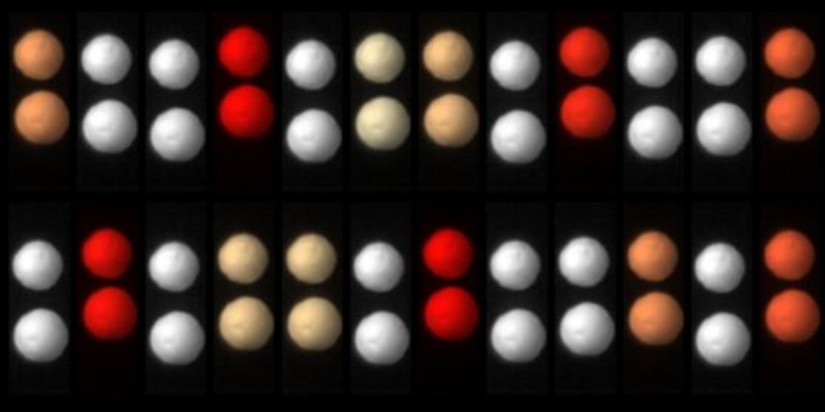 作用≠反作用に見える世界から、手のひら時間結晶が生まれた