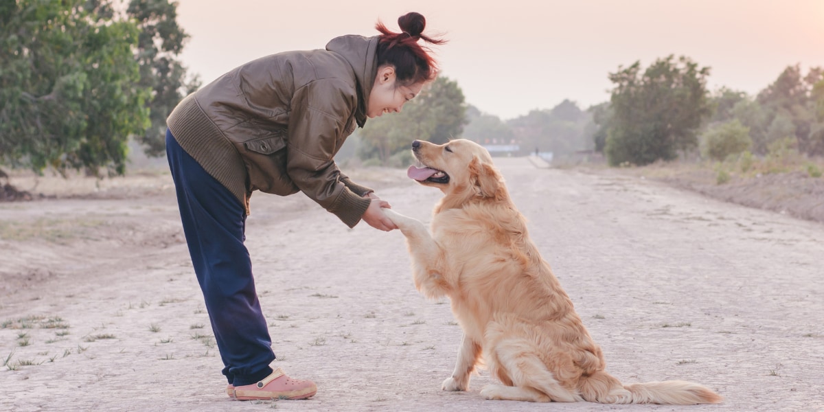 女性は「自分の犬」よりも「見知らぬ犬」に高い声で話しかける