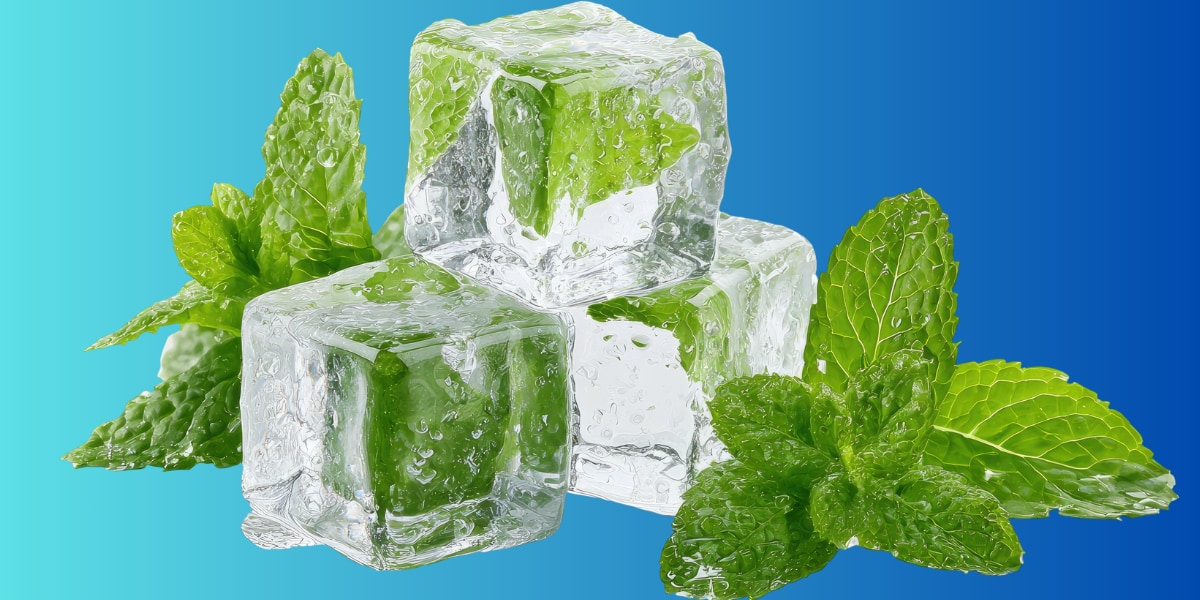 ミントが冷たく感じる本当の理由を解明