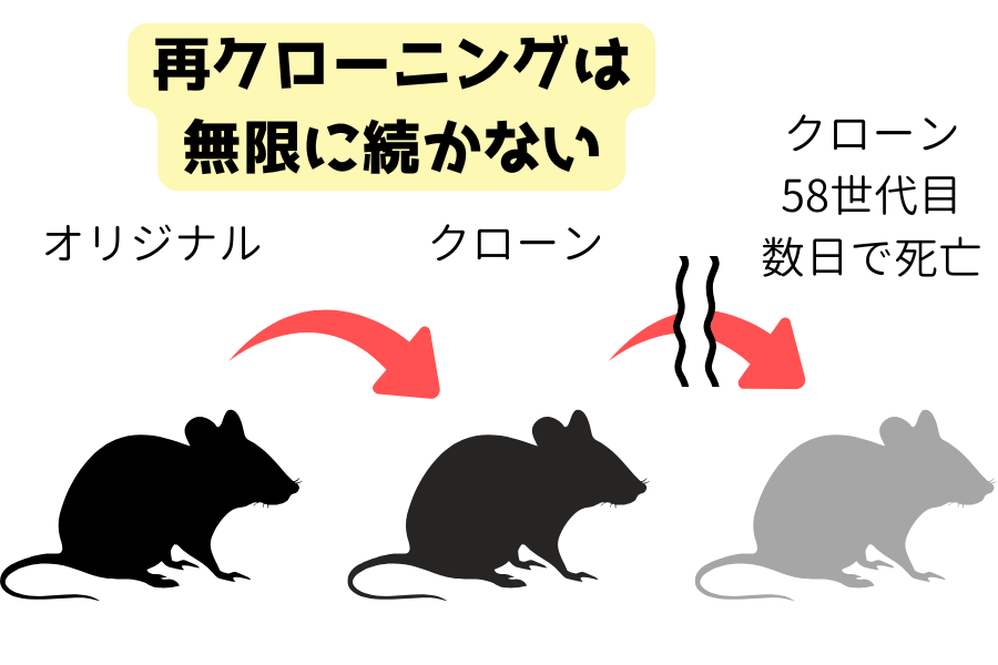 「クローンからクローン」は58世代目が限界、”突然変異”が蓄積する