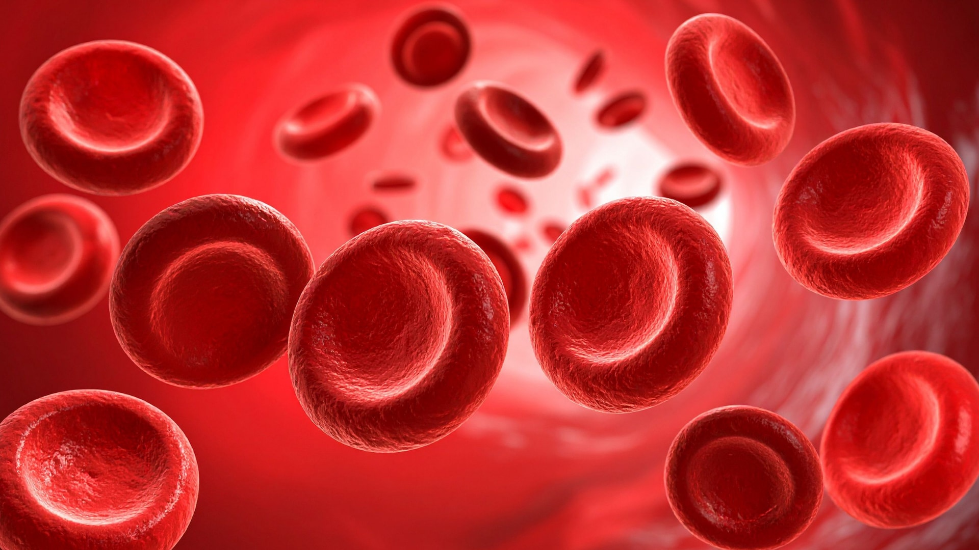 血は記憶を運ぶのか？