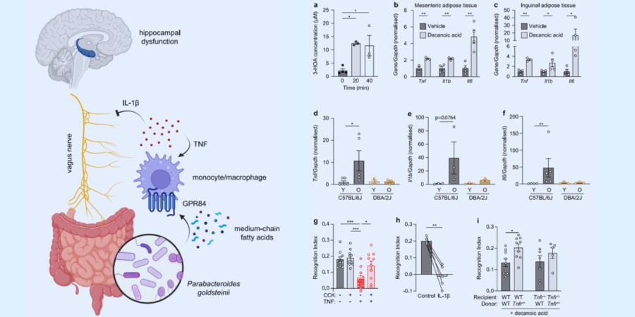 物忘れ対策は「脳の外」にもある