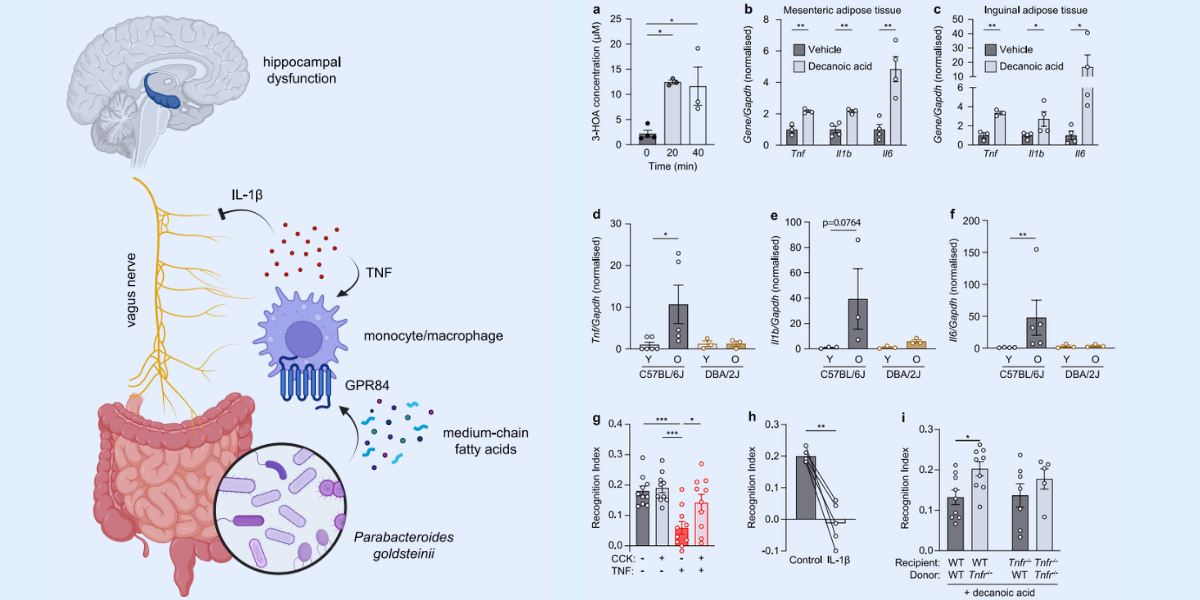 物忘れ対策は「脳の外」にもある
