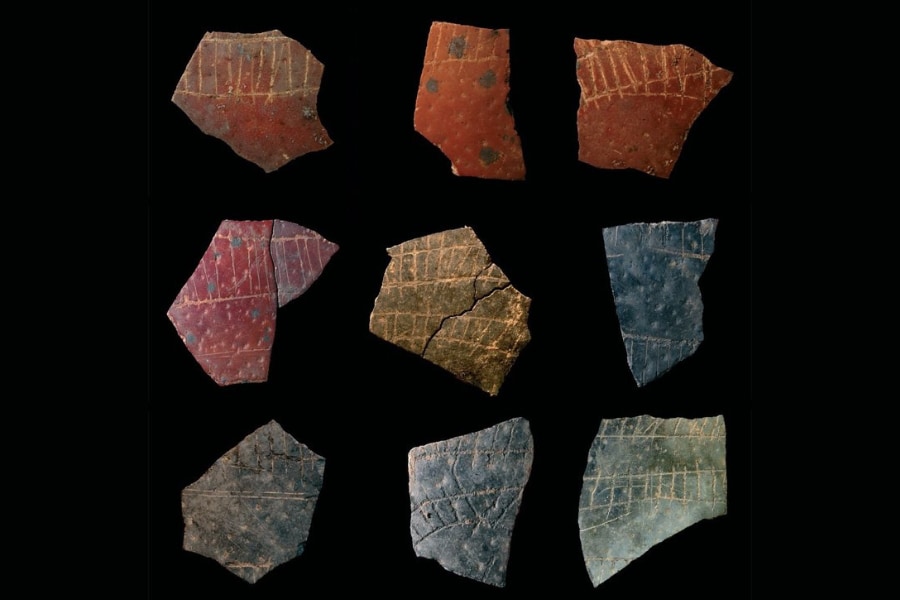 6万年前のダチョウの卵に「人類最古の幾何学」を発見かの画像 2/2