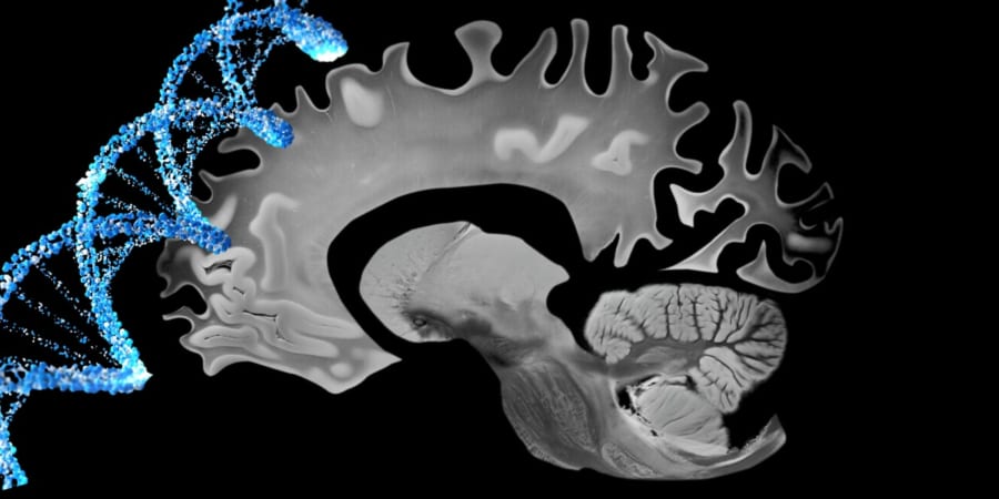 そもそも肉が健康に必要な人がいるのか？