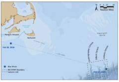 遭遇困難な「海の王者・シロナガスクジラ」、わずか24時間で3頭を目撃の画像 3/3