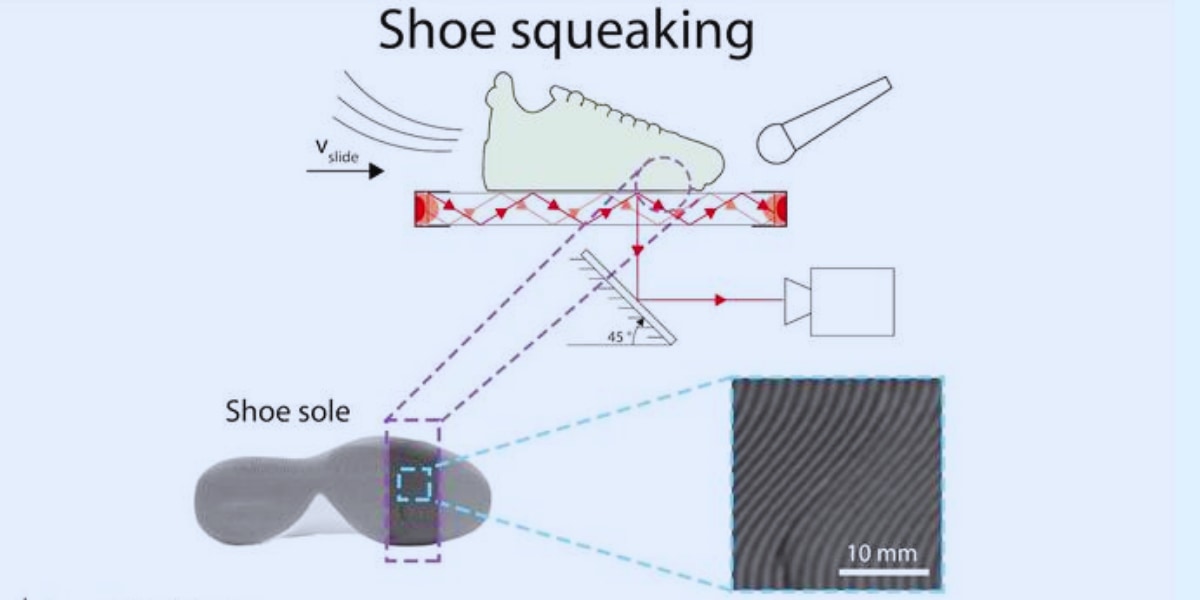 バスケットボールシューズのあの高く鮮明な音は、単なる偶然や強くこすれた結果ではなく、靴底の下で起きる小さな波が規則的に繰り返されて空気を揺らした結果だった