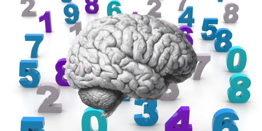 算数が苦手な子供の本質に切り込む