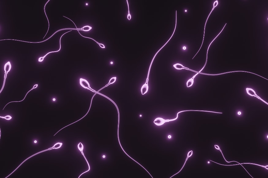 人間の精子は宇宙で「迷子」になる