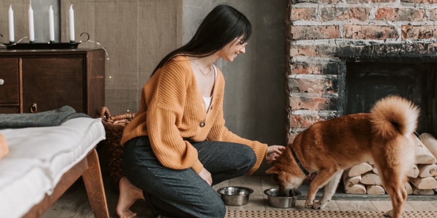 女性は「自分の犬」よりも「見知らぬ犬」に高い声で話しかける