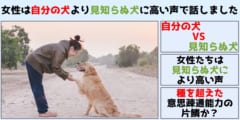 女性は「自分の犬」よりも「見知らぬ犬」に高い声で話しかける