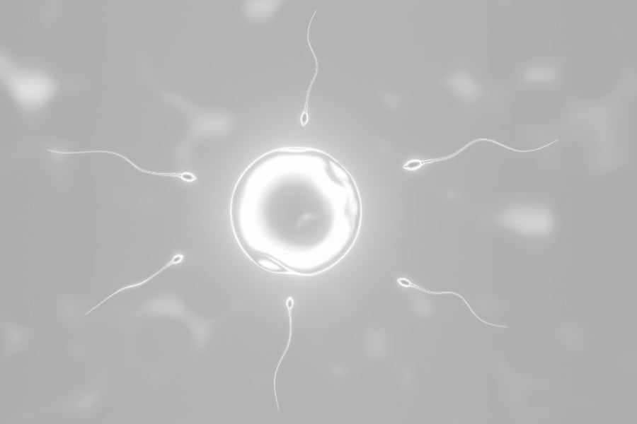 精子の質が「ピークを迎える季節」が明らかに