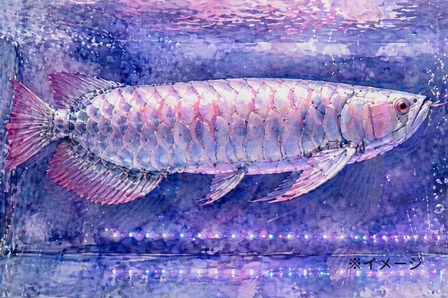 超リアルな「ロボット・アロワナ」が、お世話不要の高級魚水槽を実現【動画あり】