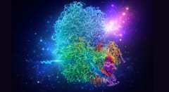 「DNAには第2のコード」が存在すると判明――遺伝子を密かに黙らせる隠し指令機構の正体