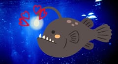 光は「釣り竿」だけではなく「ラブレター」だった