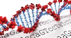 「DNAはお手本を見ながら作る」という生物の大前提が、細菌の中で破られていた――アミノ酸が文字代わりにの画像 2/6