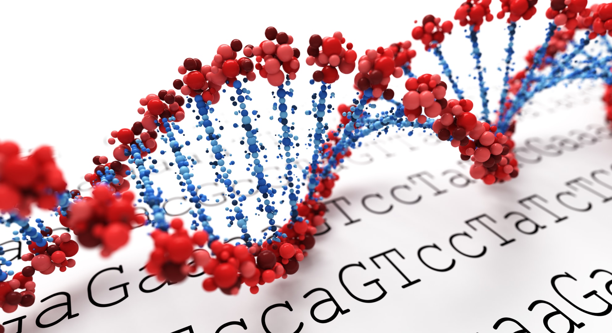 「DNAはお手本を見ながら作る」という生物の大前提が、細菌の中で破られていた――アミノ酸が文字代わりにの画像 2/6