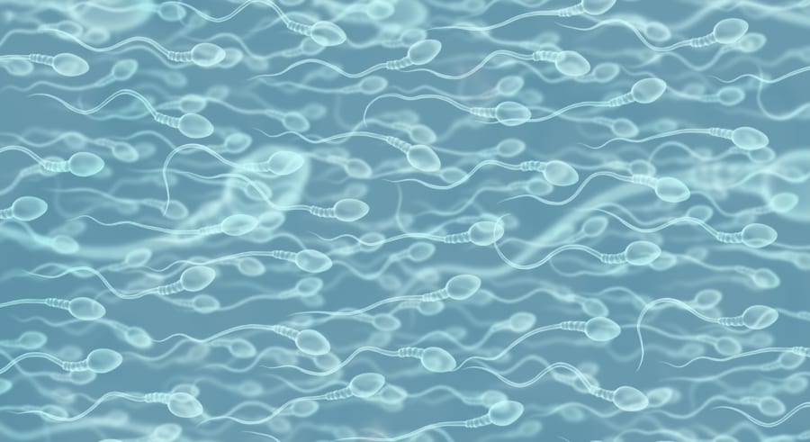 毎秒1000個の精子工場をどう止めるか